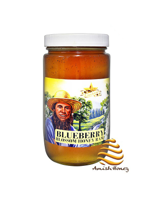 Blueberry Honey Raw