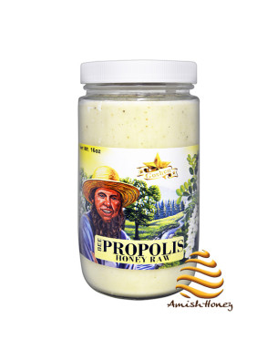 Bee Propolis Honey Raw (16 oz.)