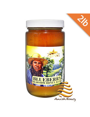 Blueberry Honey Raw